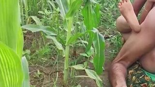 Bhabhi ko Devar ka kala mota Lund aaya pasand makai Ke khet me bhabhi ki chudai outdoor hindi audio - porn video